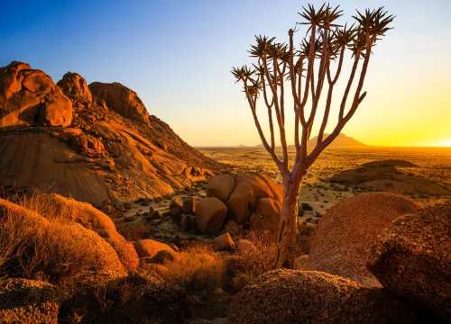 Exploring the Beauty of Sossusvlei and the Namib Desert