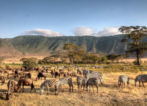 Discovering the Best of Tanzania Through Unforgettable Excursions