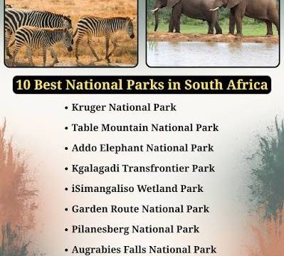 10 Must-Visit National Parks in South Africa for wildlife, adventure and scenery.