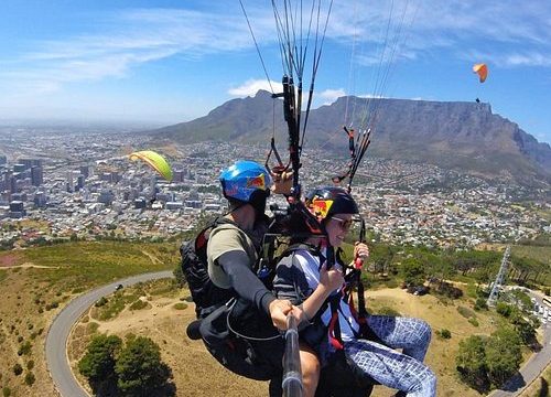 Top Reasons to Book a Guided Tour in Cape Town